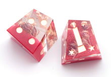 Load image into Gallery viewer, Raspberry Flowers - Chiral d6 Pair