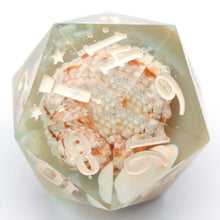 Load image into Gallery viewer, Seafloor Shells - 27mm d20 Chonk