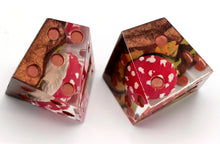 Load image into Gallery viewer, Amanita Muscaria - Chiral d6 Pair
