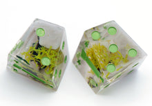 Load image into Gallery viewer, Foggy Ridge - Chiral d6 Pair
