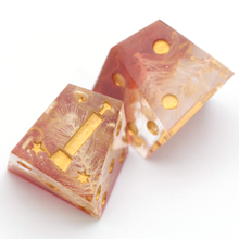 Load image into Gallery viewer, Golden Fields - Chiral d6 Pair
